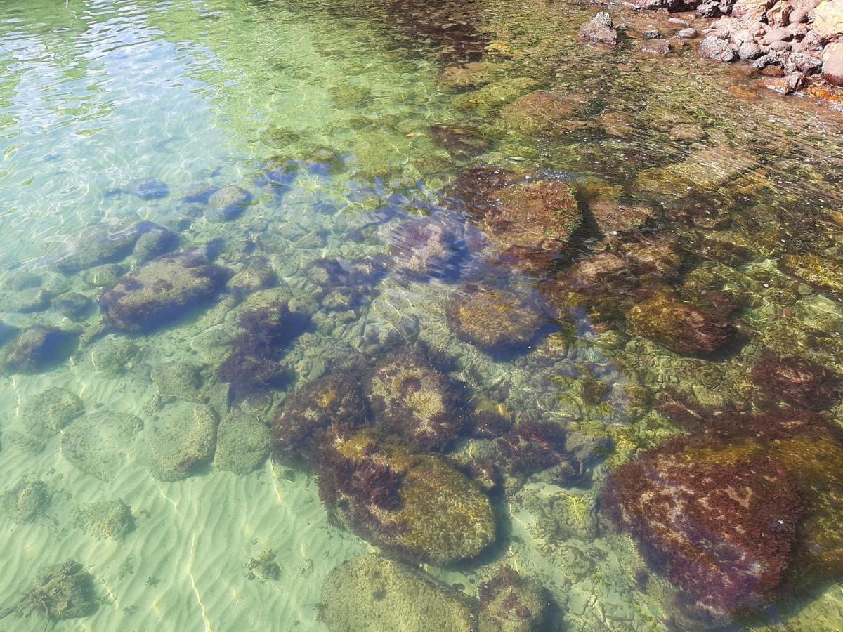Casa Maravilhosa A Beira Mar Em Angra Dos Reis Βίλα Εξωτερικό φωτογραφία